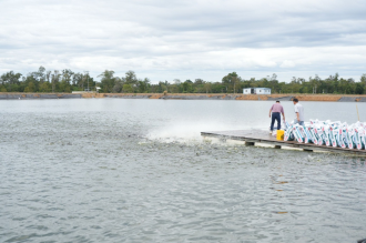  Khong District Striped Catfish Processing Park to Create Jobs for Local Communities